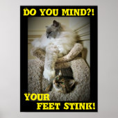 Funny Cats, poster (Voorkant)