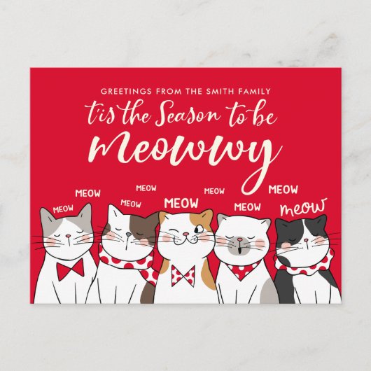 Funny Cats Season be Merry Holiday Greeting Briefkaart (Voorkant)