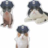Funny Cats Sticker (Voorkant)