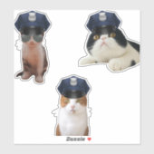 Funny Cats Sticker (Vel)