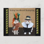 Funny Cats Thanksgiving Feestdagenkaart (Voorkant)
