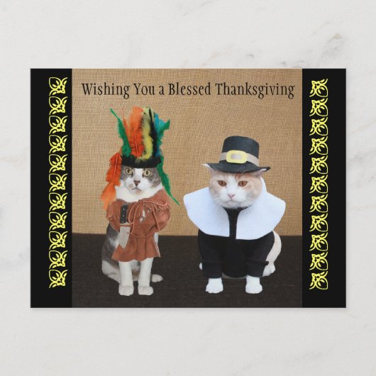 Funny Cats Thanksgiving Feestdagenkaart (Voorkant)