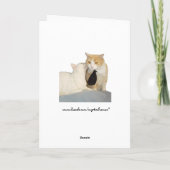 Funny Cats Valentijn/Jubileum Feestdagen Kaart (Achterkant)