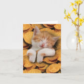 Funny Chanoeka Wenskaart - Kat in Gelt Kaart (Gele Bloem)