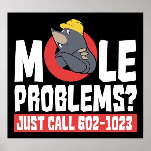 Funny Chemistry Teacher Mole Problem Gag Poster (Voorkant)