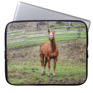 Funny Chestnut Stallion Horse Whinningfoto Laptop Sleeve