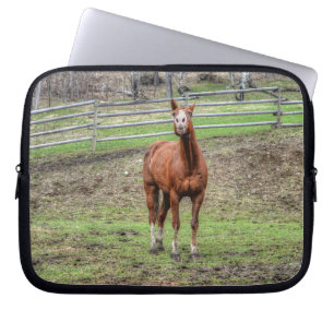 Funny Chestnut Stallion Horse Whinningfoto Laptop Sleeve