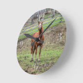 Funny Chestnut Stallion Horse Whinningfoto Ronde Klok (Hoek)