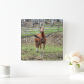 Funny Chestnut Stallion Horse Whinningfoto Vierkante Klok (Huis)