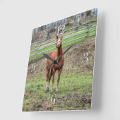 Funny Chestnut Stallion Horse Whinningfoto Vierkante Klok (Hoek)