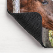 Funny Chestnut Stallion & Mare in een bosfoto Muismat (Hoek)