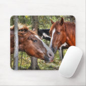 Funny Chestnut Stallion & Mare in een bosfoto Muismat (Met muis)