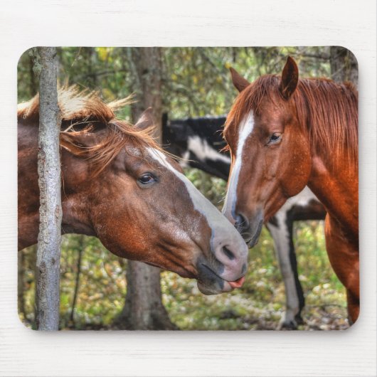 Funny Chestnut Stallion & Mare in een bosfoto Muismat (Voorkant)
