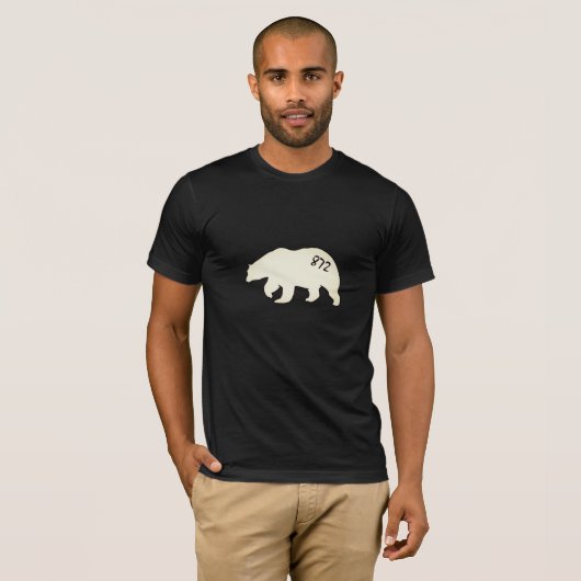 Funny Chicago Arctic Winter T-shirt (Voorkant volledig)