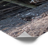 Funny Chicken and Rooster Memories with Funny Afbe Poster (Hoek)