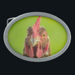 Funny Chicken Boerderij Animal Gesp<br><div class="desc">Grappig portretfoto van een kip tegen een groene achtergrond.</div>