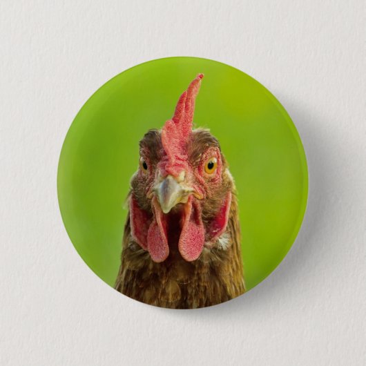 Funny Chicken - Button (Voorkant)