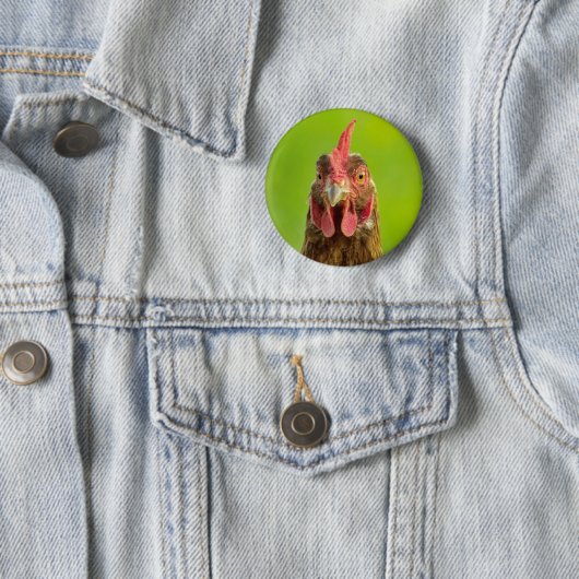 Funny Chicken - Button (In situ)