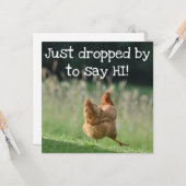 Funny Chicken Hallo Quotes say Hi Cute Boerderij A Kaart (Voorkant / Achterkant in situ)