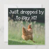 Funny Chicken Hallo Quotes say Hi Cute Boerderij A Kaart (Voorkant)