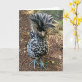 Funny Chicken Humor, Favoriete Chick Polish Hen Kaart (Gele Bloem)