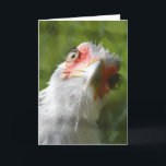 FUNNY CHICKEN MOTHER CLUCKER BIRTHDAY-KAART KAART<br><div class="desc">HAPPY BIRTHDAY MOTHER CLUCKER</div>