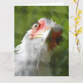 FUNNY CHICKEN MOTHER CLUCKER BIRTHDAY OVERZICHT KAART (Gele Bloem)