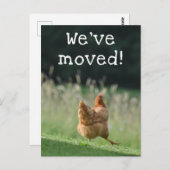 Funny Chicken New Address We hebben onze aankondig Briefkaart (Voorkant / Achterkant)