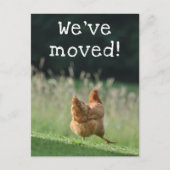 Funny Chicken New Address We hebben onze aankondig Briefkaart (Voorkant)