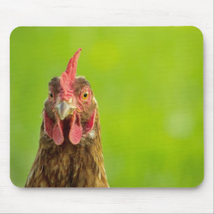 Funny Chicken Portrait - Mousepad Muismat