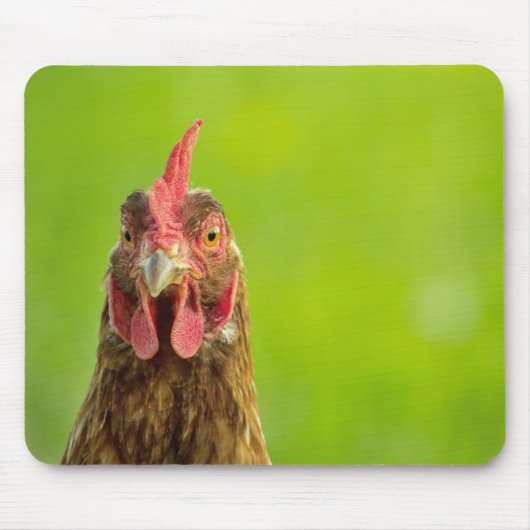 Funny Chicken Portrait - Mousepad Muismat (Voorkant)