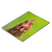Funny Chicken Portrait - notebook Notitieboek (Linkerzijde)