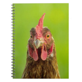 Funny Chicken Portrait - notebook Notitieboek