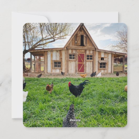 Funny Chicken Pun Square Feestdagenkaart (Achterkant)