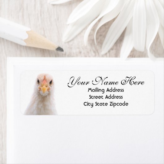 Funny Chicken Return Address Label (Insitu)
