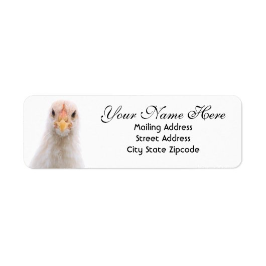 Funny Chicken Return Address Label (Voorkant)