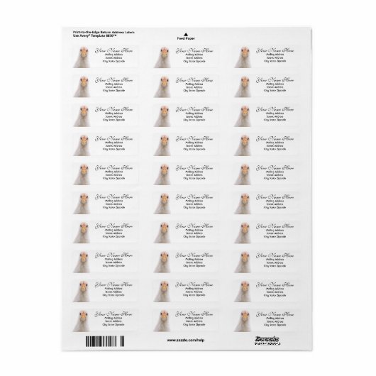 Funny Chicken Return Address Label (Full Sheet)