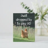 Funny Chicken say Hi Cute Boerderij Animal Foto Aa Briefkaart (Staand voorkant)