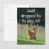 Funny Chicken say Hi Cute Boerderij Animal Foto Aa Briefkaart (Voorkant / Achterkant)