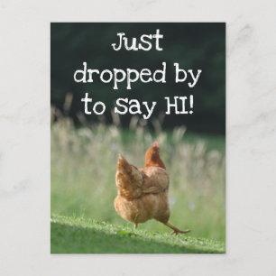 Funny Chicken say Hi Cute Boerderij Animal Foto Aa Briefkaart