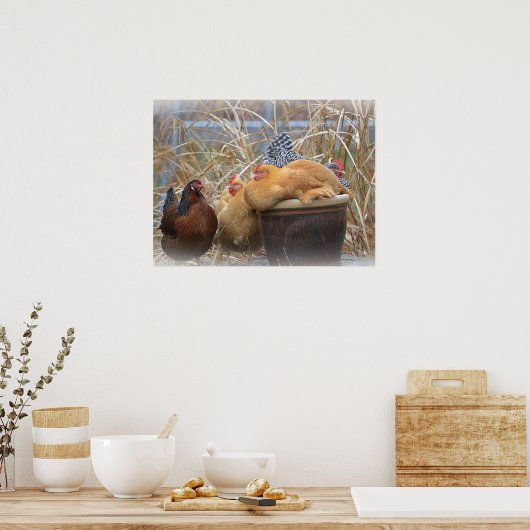 Funny Chickens Poster (Keuken)