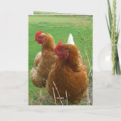 Funny Chicks Verjaardag Wenskaart Kaart (Achterkant)