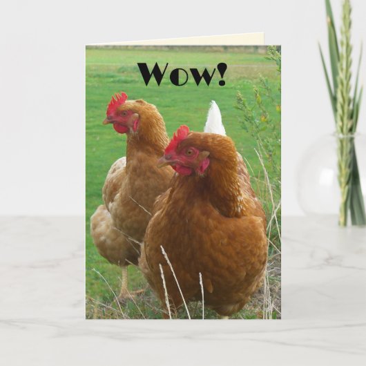 Funny Chicks Verjaardag Wenskaart Kaart (Voorkant)