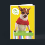 Funny Chihuahu Dog met Lisp Belated Birthday Kaart<br><div class="desc">Oeps! Je bent iemands verjaardag vergeten. Je kunt het goedmaken met een schattige kaart van een Chihuahua met een rode trui op, en haar poten op een kleurrijke cadeaudoos. De tong van de hond steekt uit en ze ziet er een beetje gestrest uit, terwijl ze zich herinnert dat ze de...</div>