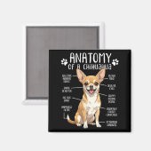 Funny Chihuahua Anatomy Of A Chihuahua Dog Owner P Magneet (Voorkant / Achterkant)