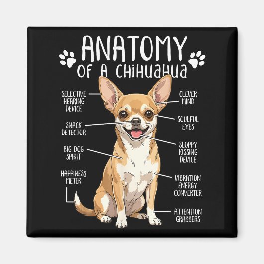 Funny Chihuahua Anatomy Of A Chihuahua Dog Owner P Magneet (Voorkant)