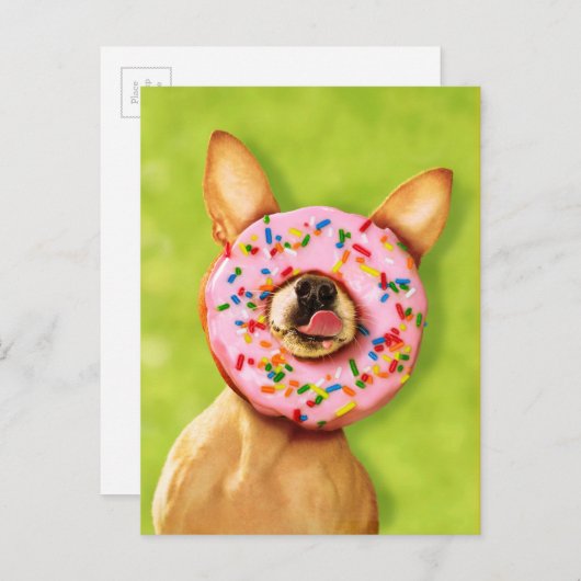 Funny Chihuahua Dog met Sprinkle Donut op Nose Briefkaart (Voorkant / Achterkant)
