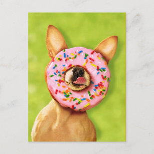 Funny Chihuahua Dog met Sprinkle Donut op Nose Briefkaart