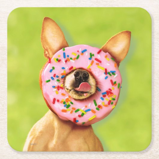 Funny Chihuahua Dog met Sprinkle Donut op Nose Kartonnen Onderzetters (Voorkant)