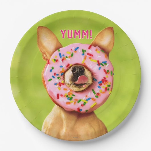 Funny Chihuahua Dog met Sprinkle Donut op Nose Papieren Bordje (Voorkant)